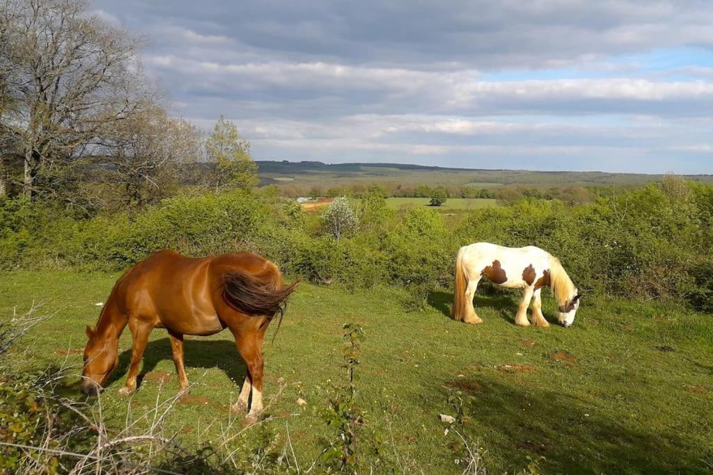 Maison De Bois En Pleine Nature A 20 Min De Beaune Montceau-et-Echarnant Eksteriør billede