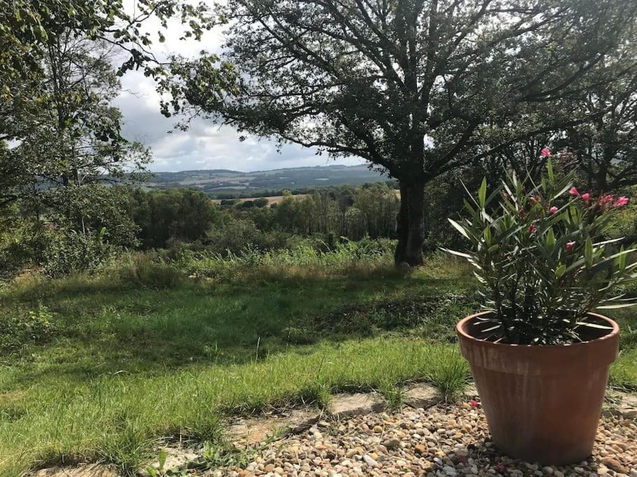 Maison De Bois En Pleine Nature A 20 Min De Beaune Montceau-et-Echarnant Eksteriør billede